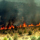 Υπό έλεγχο η επικίνδυνη η φωτιά στο Πήδημα της Καλαμάτας 15