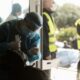 Κορονοϊός: 18.333 νέα κρούσματα σήμερα στην Ελλάδα - 73 νεκροί και 668 διασωληνωμένοι 22