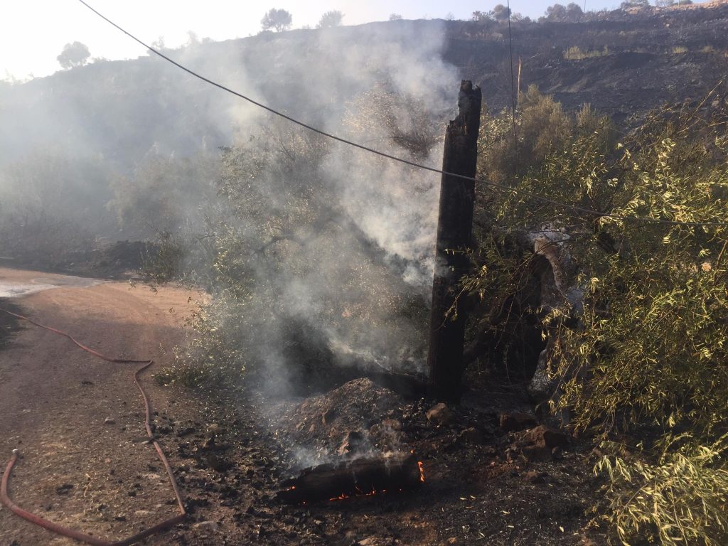 Σε εξέλιξη η φωτιά στο δάσος Μαγκλαβά – Σε ύφεση η φωτιά στα Λειβαδάκια