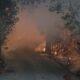 Φωτιά στην Ολυμπία – Εκκενώνονται οι κοινότητες Πουρνάρι και Ηράκλεια (videos) 25