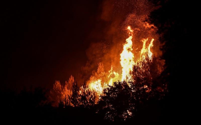 Δραματική νύχτα: Οι φλόγες προς τον Ωρωπό &#8211; Αγωνία σε Εύβοια, Ηλεία, Μάνη (videos)