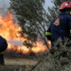 Συνεχίζεται η μάχη με τις φλόγες σε Γορτυνία, Αρχαία Ολυμπία και Ακροκόρινθο (+videos) 7
