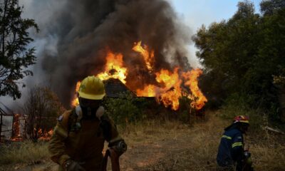 Φωτιές – Εκτός ελέγχου οι πυρκαγιές σε Εύβοια, Αρχαία Ολυμπία, Μεσσηνία (+pics-video) 6