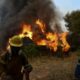 Φωτιές – Εκτός ελέγχου οι πυρκαγιές σε Εύβοια, Αρχαία Ολυμπία, Μεσσηνία (+pics-video) 7