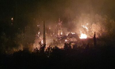 Μεγάλη φωτιά και στην Άνθεια Μεσσηνίας, λίγο έξω από την Καλαμάτα... (pics-video) 12