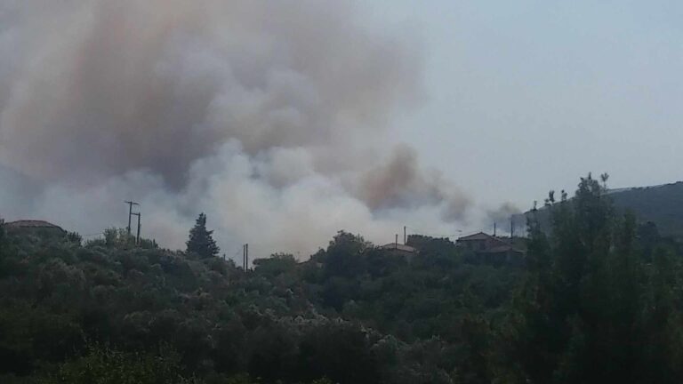 Τρίπολη: Πυρκαγιά στην Αγία Σοφία Κυνουρίας