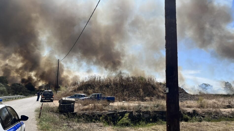 Μεγάλη φωτιά στην Ασπροπουλιά Καλαμάτας – Δόθηκε εντολή εκκένωσης (pics &#038; videos)