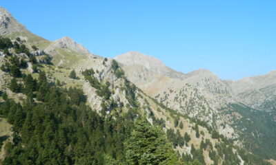 Ε.Ο.Σ. Καλαμάτας: Ανάβαση στον Ερύμανθο (κορυφή Ωλενός 2.224μ.)